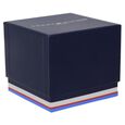 Tommy Hilfiger Men Navy Dial Analog Watch - image number 4