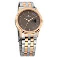 Titan Brown Dial Analog with Day and Date Stainless Steel Strap Watch for Men - image number 0