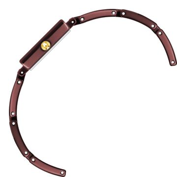 Anne Klein Quartz Analog Brown Dial Brown Ceramic Strap Watch For Women