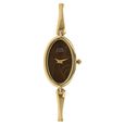 Titan Quartz Analog Green Dial Metal Strap Watch for Women