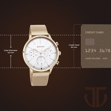 Titan Light Leathers Silver Dial Quartz Multifunction Stainless Steel Strap Watch for Men