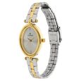 Titan Quartz Analog Silver Dial Stainless Steel Strap Watch for Women - image number 1