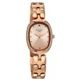 Titan Raga Showstopper Quartz Analog Rose Gold Dial Rose Gold Metal Strap Watch For Women - image number 1