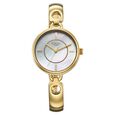 Titan Raga Contempore Quartz Analog Mother of Pearl Dial Metal Strap Watch For Women - image number 1