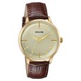 Sonata Jashn Quartz Analog Golden Dial Brown Leather Strap Watch For Men - image number 1