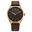 Titan Neo Basics Analog with Brown Dial Brown Leather Strap Watch for Men - image number 1