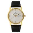 Titan Analog Champagne Dial Leather Strap watch for Men