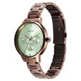 Titan Razzle Dazzle Quartz Analog with Day and Date Green Dial Brown Stainless Steel Strap Watch For Women - image number 2