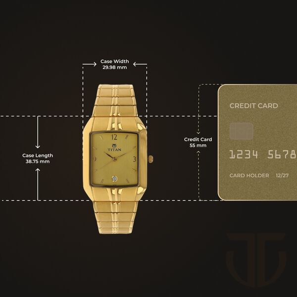 Titan Analog with Date Golden Dial Metal Strap watch for Men - image number 2