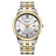 Titan Karishma Festive Analog with Silver Dial Dual Tone Stainless Steel Strap Watch for Men - image number 1