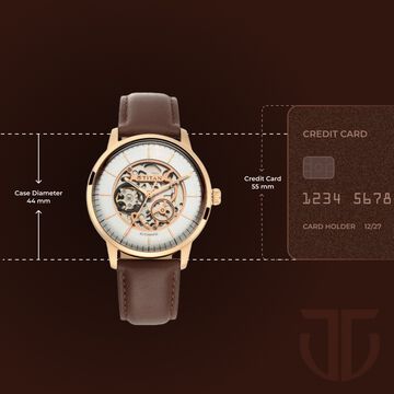 Titan Automatic Silver Dial Brown Leather Strap Watch for Men