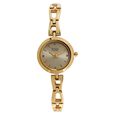 Titan Raga Grey Dial Quartz Analog Metal Strap watch for Women - image number 0