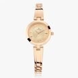 Titan Quartz Analog Blue Dial Metal Strap Watch for Women