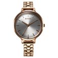 Titan Secluded Quartz Analog Silver Dial Metal Strap Watch For Women - image number 0