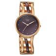 Titan Raga Sierra Quartz Analog Brown Dial Two Toned Metal Strap Watch For Women - image number 1