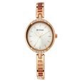 Titan Quartz Analog Silver Dial Metal Strap Watch for Women - image number 1
