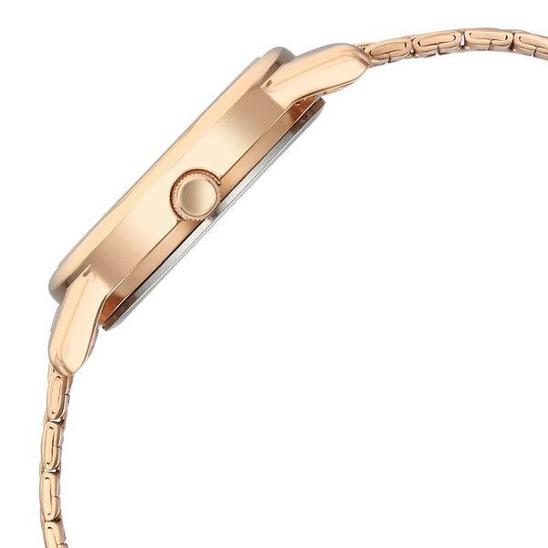 Titan Karishma Quartz Analog Silver Dial Rose Gold Stainless Steel Strap Watch For Women - image number 3