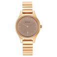 Titan Karishma Brown Dial Metal Strap Watch for Women - image number 1