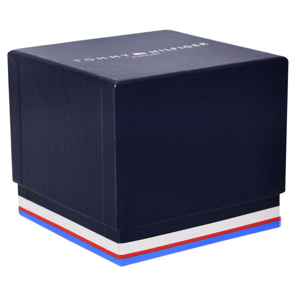 Tommy Hilfiger Quartz Multifunction Black Dial Metal Strap Watch for Men - image number 5