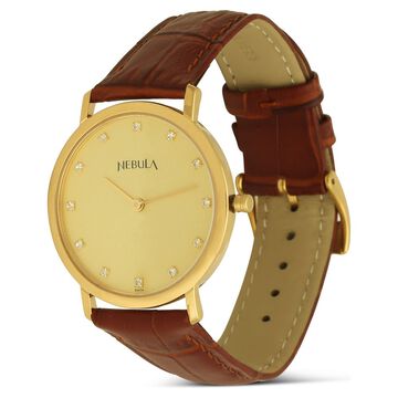Titan Nebula Vintage 18k Gold Analog Diamond Studded Dial Leather Strap Watch for Men