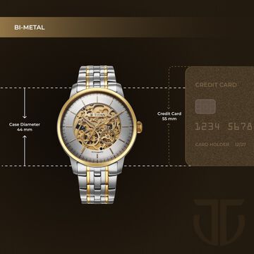 Titan Golden Heart Skeletal Automatic Analog with Silver Dial Dual-Tone Stainless Steel Strap Watch for Men