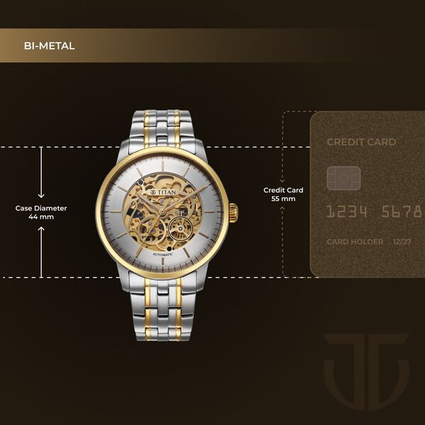 Titan Golden Heart Skeletal Automatic Analog with Silver Dial Dual-Tone Stainless Steel Strap Watch for Men - image number 3
