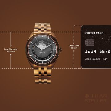 Titan Stellar Cupola Automatic Analog with Sun Moon Phase and Gray Dial IP Bronze Stainless Steel Strap Watch for Men
