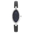 Titan Raga Silver Dial Women Watch With Metal Strap
