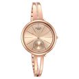 Titan Raga Viva Silver Dial Women Watch With Metal Strap