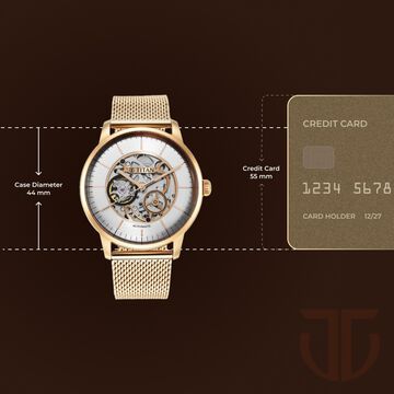 Titan Skeletal Automatic Gold Dial Gold Stainless Steel Strap Watch for Men