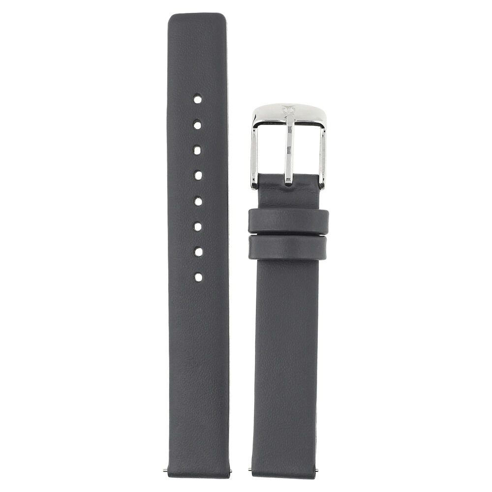 Titan watch belt online on sale
