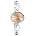 Titan Raga Viva Brown Dial Analog Metal Strap Watch for Women