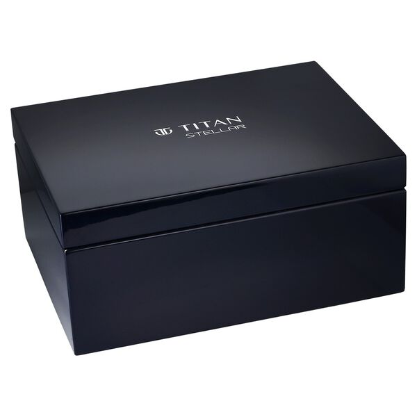 Titan Stellar Automatic Aventurine Dial Leather Strap Watch for Men - image number 6