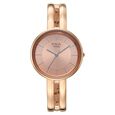 Titan Raga Contempore Quartz Analog Rose Gold Dial Rose Gold Metal Strap Watch For Women - image number 0