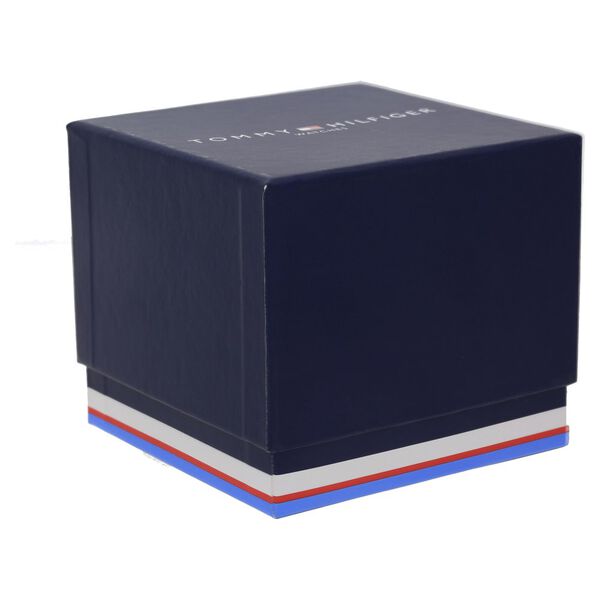 Tommy Hilfiger Quartz Analog Silver Dial Leather Strap Watch for Men - image number 4