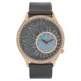 Titan Quartz Analog Brown Dial Leather Strap Watch for Women