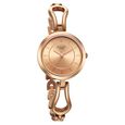 Titan Raga Quartz Analog Rose Gold Dial Rose Gold Metal Strap Watch For Women - image number 1