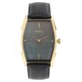 Titan Nebula Nebula Quartz Analog 18 Karat Solid Gold Watch for Men
