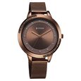 Titan Razzle Dazzle Quartz Analog Brown Dial Stainless Steel Mesh Strap Watch For Women - image number 1