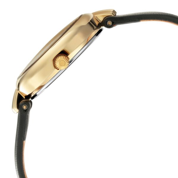 Titan Namma Tamil Nadu Mother of Pearl Dial Analog Leather Strap Watch for Women - image number 4