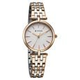 Titan Work Mode Quartz Analog Silver Dial Two Toned Metal Strap Watch For Women - image number 1