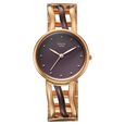 Titan Raga Sierra Quartz Analog Brown Dial Two Toned Metal Strap Watch For Women - image number 0