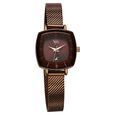 Vyb Seeker By Fastrack Quartz Analog Brown Dial Metal Strap Watch For Girls - image number 1