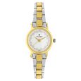 Titan Quartz Analog Grey Dial Stainless Steel Strap Watch for Women