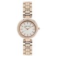 Anne Klein Quartz Analog Silver Dial Metal Strap Watch for Women - image number 0