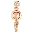 Titan Raga Love All Brown Dial Analog Metal Strap watch for WoMen