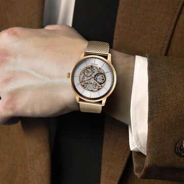 Titan Skeletal Automatic Gold Dial Gold Stainless Steel Strap Watch for Men