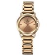 Titan Workmode Quartz Analog Pink Dial Stainless Steel Strap Watch For Women