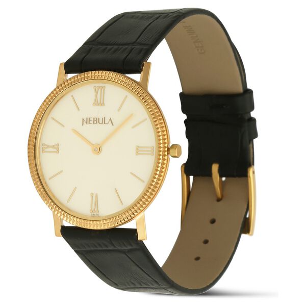 Titan Nebula Vintage 18k Gold Analog Leather Strap Watch for Men - image number 1