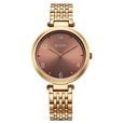 Titan Workwear Quartz Analog Purple Dial Silver Colour Metal Strap Watch For Women